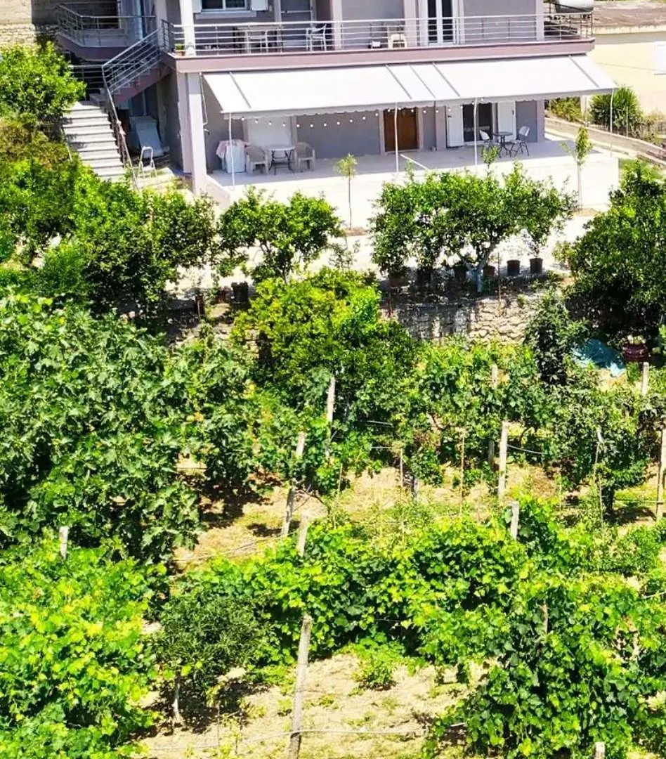 Toma\'S Guest House ile iletişim